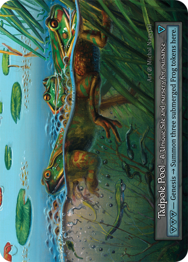 Tadpole Pool